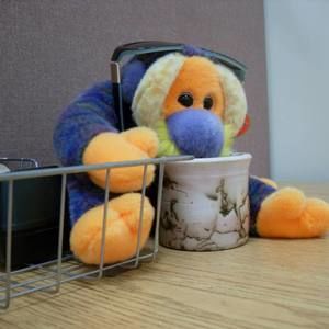 Meet your Posher, Melanie